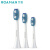ROAMAN(ROAMAN)電動歯ブラシヘッド純白系3本セットS 3035/08