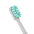 MI（MI）電動歯ブラシ大人充電式リニアモーターに交換可能ブラシの知能電気歯ブラシ米家電動歯ブラシ-ホワイト+電動歯ブラシヘッド（三本入り）