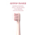 花（HUSUM）電動歯ブラシ成人音波式振動歯ブラシBUZONI 3種類の歯掃除モードの男女カップルプレゼントE 1 E 2 E 2モーランドディパウダー