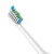 京東京製R 3シリーズの電動歯ブラシは、頭の白いのに換えて、米国のデュポンの高弾性ブラシの上だけで丸く磨きます。